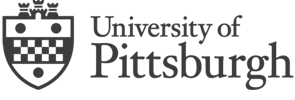 pittsburgh-small-blue