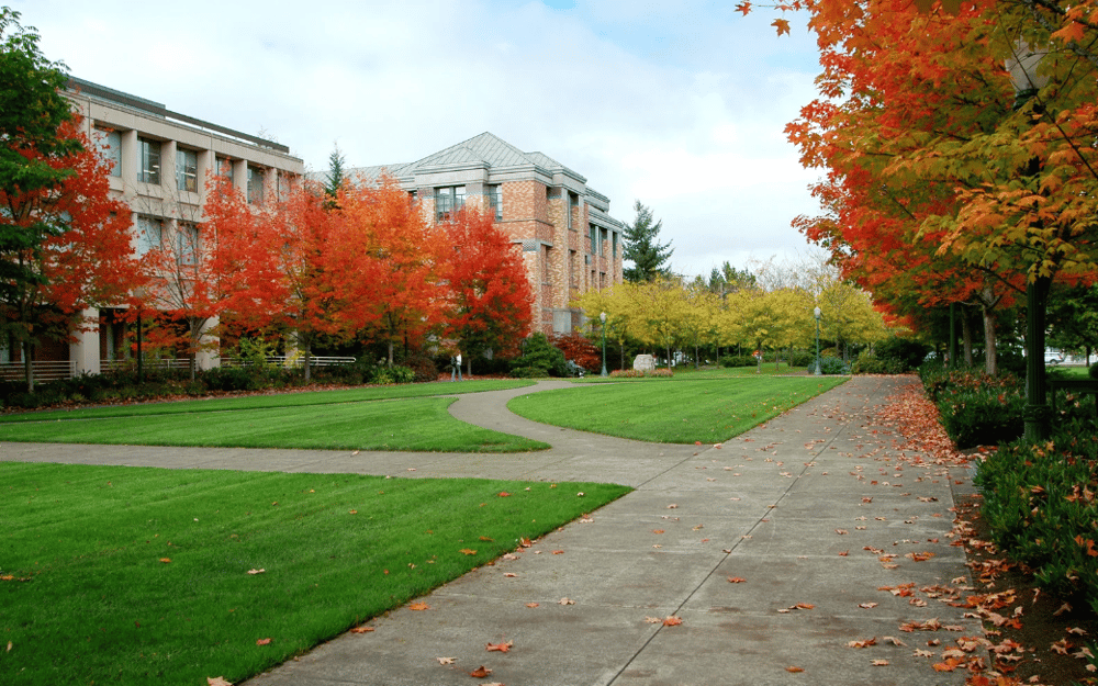 The State of Student Recruitment in the U.S.