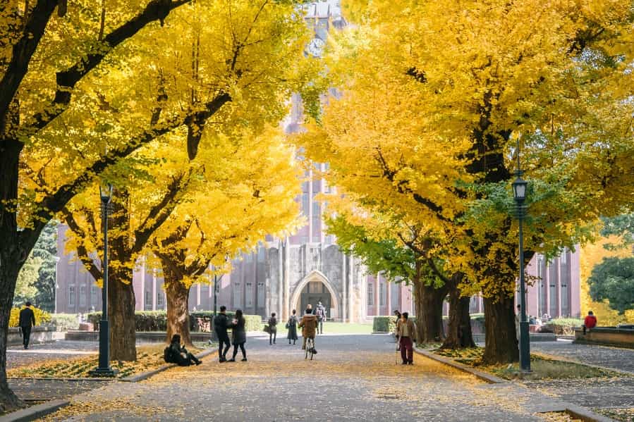 Reimagining Fall Semester 2020