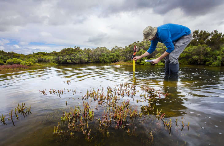 picture shows a man standing in a pond taking water samples.